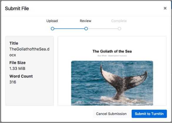 File preview before submitting to Turnitin
