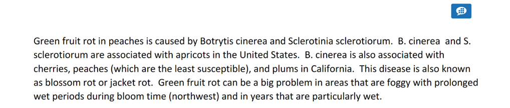 LTI13_instructor_bubble_comment_rubric.png
