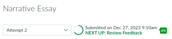 Canvas_CPF_StudentExperienceCropped.png