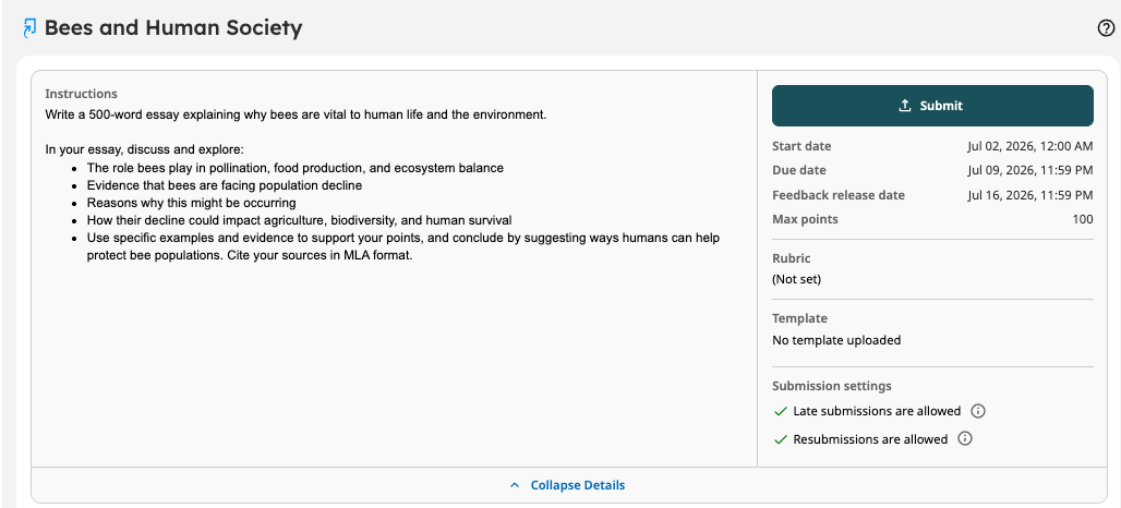 The Submit button in a Standard Assignment